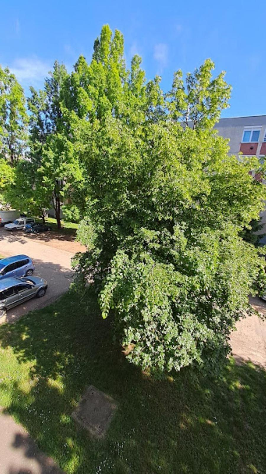 Szilfak City Apartman Hajdúszoboszló Exterior foto
